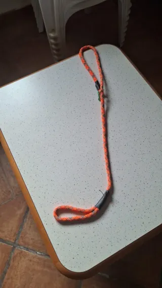 Correa para perro naranja y negra