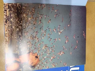 Mundo de los oceanos, el.