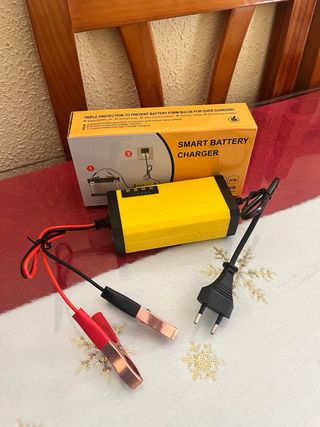 Cargador de Batería Coche Inteligente