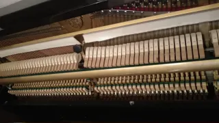 Piano Samick