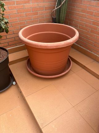 Maceta grande de plástico con plato