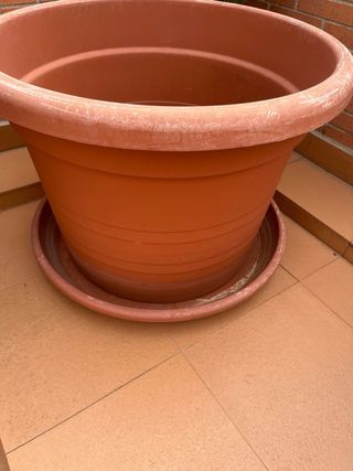Maceta grande de plástico con plato