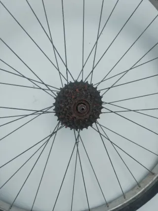 Llantas 28 con neumáticos