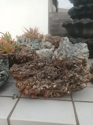 Piedras Decorativas Acuario (precio unidad)