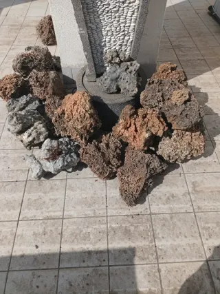 Piedras Decorativas Acuario (precio unidad)