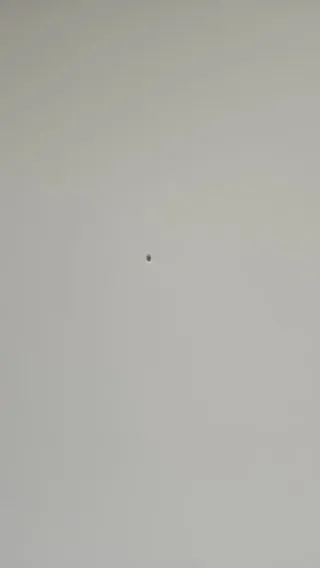 Tablero escritorio blanco Ikea 100x60 cm