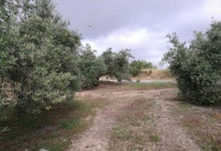 Terreno en venta en Martos