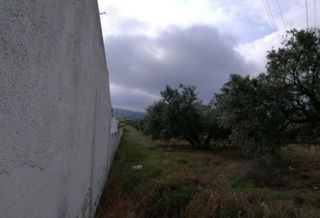 Terreno en venta en Martos