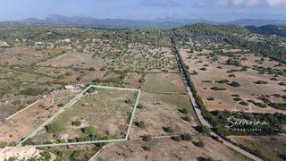 Solar en venta en Son Servera