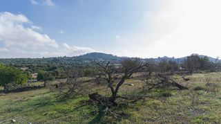 Solar en venta en Son Servera