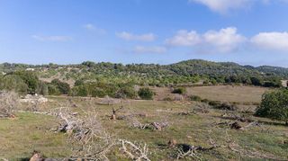 Solar en venta en Son Servera