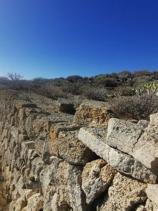 Terreno en venta en Güímar