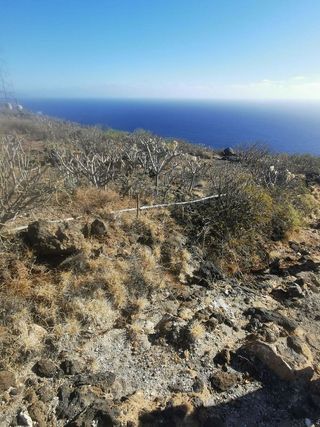 Terreno en venta en Güímar