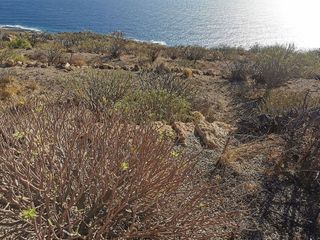 Terreno en venta en Güímar