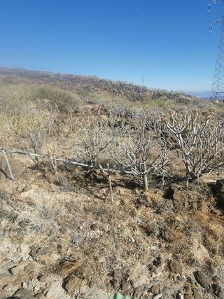 Terreno en venta en Güímar