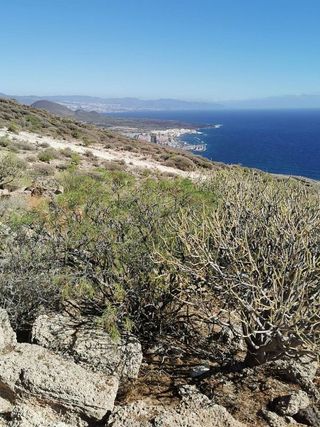 Terreno en venta en Güímar