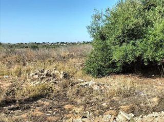 Solar en venta en Ciudad Aljarafe en Mairena del Aljarafe