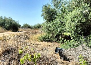 Solar en venta en Ciudad Aljarafe en Mairena del Aljarafe