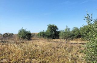 Solar en venta en Ciudad Aljarafe en Mairena del Aljarafe