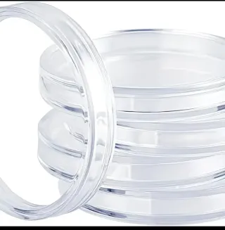 Capsule con custodia per monete trasparenti