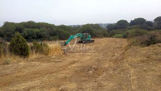 Terreno en venta en Sotogrande Alto en San Roque