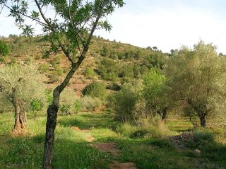 Terreno en venta en Borriol