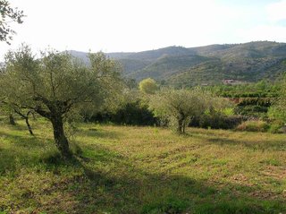 Terreno en venta en Borriol
