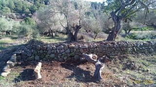 Terreno en venta en Borriol