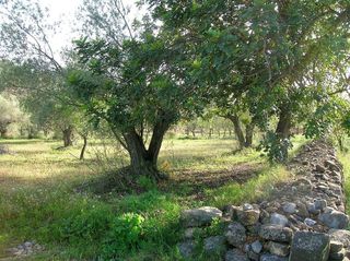 Terreno en venta en Borriol