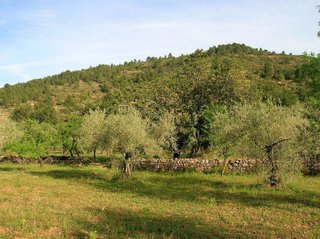 Terreno en venta en Borriol