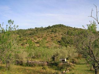 Terreno en venta en Borriol