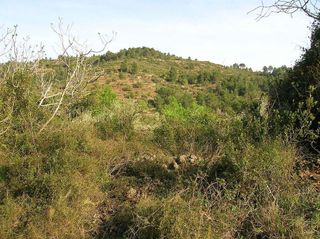 Terreno en venta en Borriol