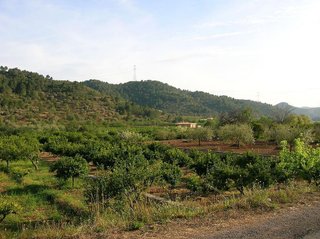 Terreno en venta en Borriol