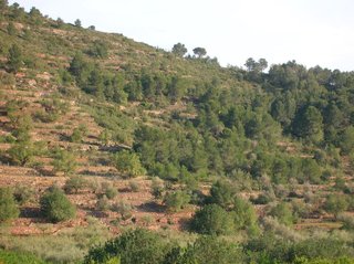 Terreno en venta en Borriol