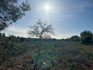 Casa rural en venta en Manacor Centro en Manacor