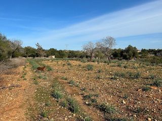 Casa rural en venta en Manacor Centro en Manacor
