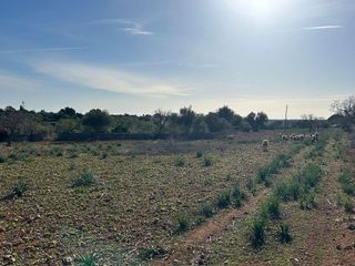 Casa rural en venta en Manacor Centro en Manacor