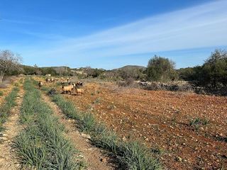 Casa rural en venta en Manacor Centro en Manacor