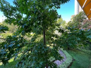 Piso en alquiler en El Viso en Madrid