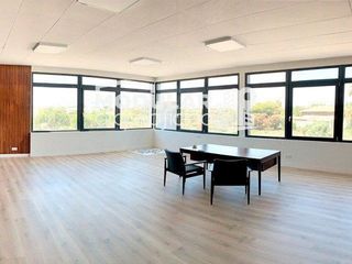 Oficina en alquiler en Alzabares en Elche