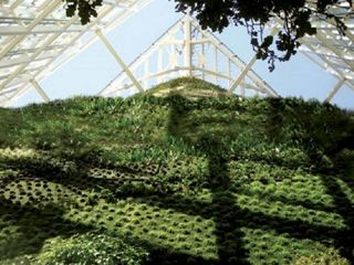 Oficina en alquiler en La Paz en Madrid