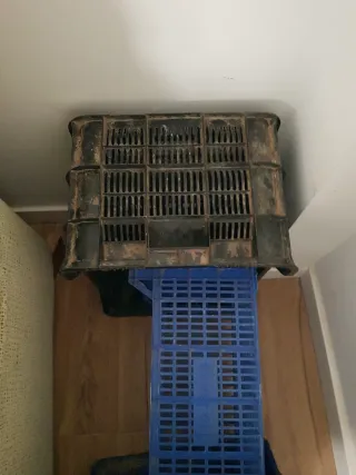 Cajas de plástico para frutas