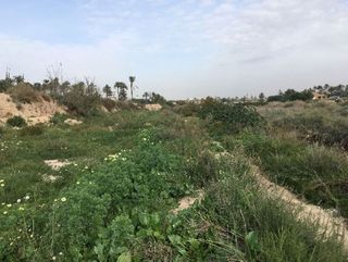 Terreno en venta en Alzabares en Elche