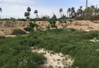 Terreno en venta en Alzabares en Elche