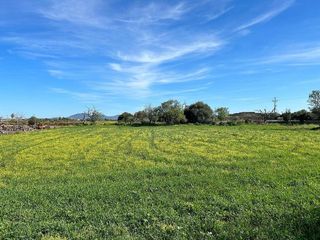 Terreno en venta en Porreres