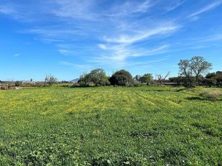 Terreno en venta en Porreres