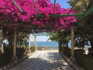 Local comercial en venta en Mentidero - Teatro Falla - Alameda en Cádiz