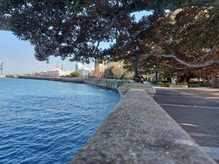 Local comercial en venta en Mentidero - Teatro Falla - Alameda en Cádiz