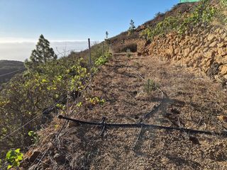 Terreno en venta en Güímar