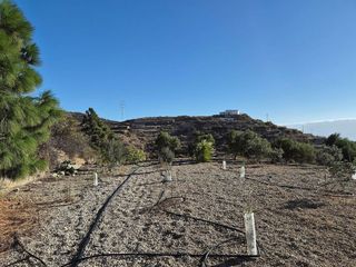 Terreno en venta en Güímar